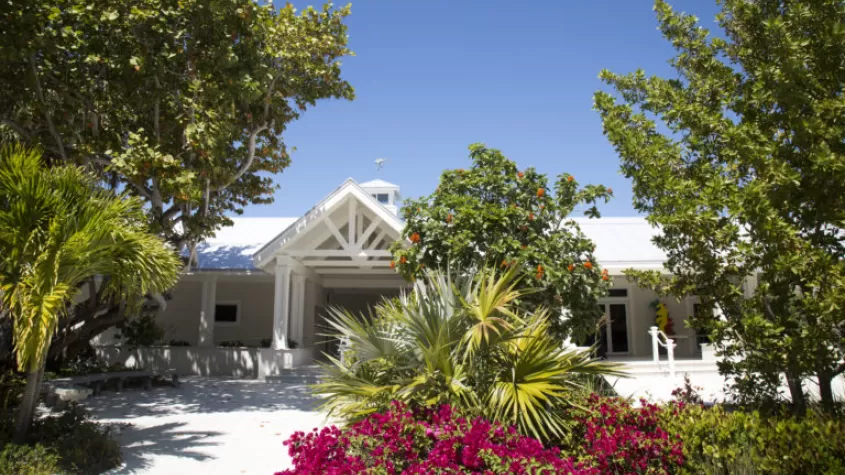 Photo of the Captiva Civic Center with green trees and pink bougainvillea flowers surrounding the building.