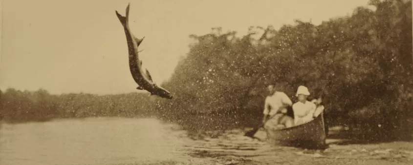 Fort Myers' early anglers
